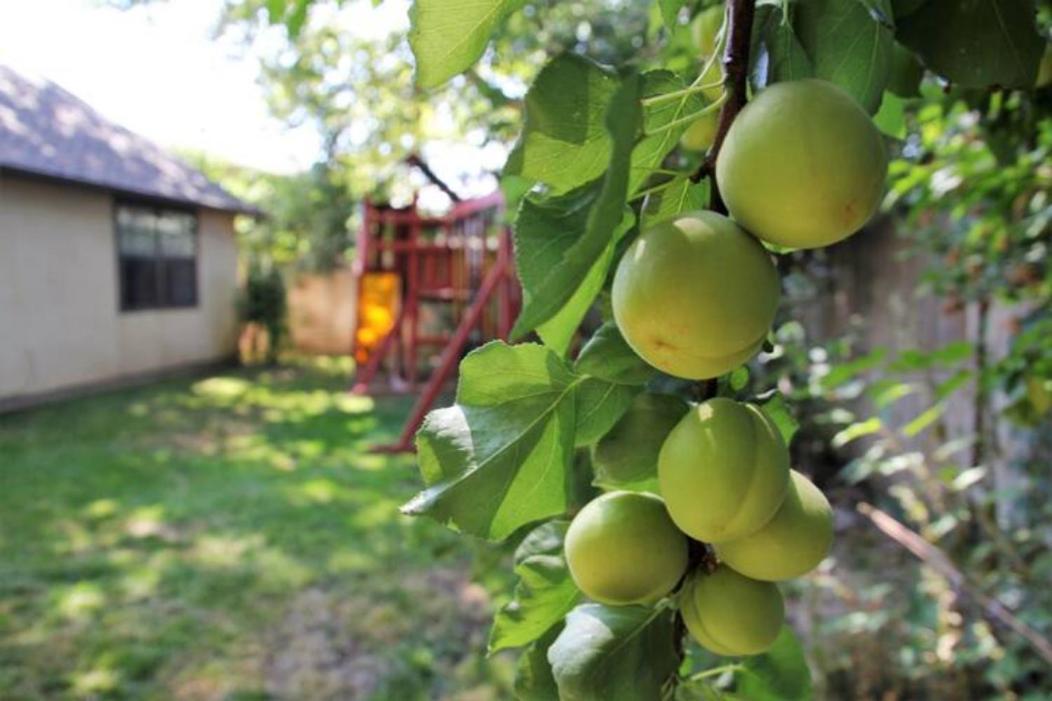 Experience Nirvana With Artwork Collections From Around The Globe Located In Lakewood Neighborhood In Se Boise Next To A Park, Minutes From Bown Crossing And The Boise River, 10 Minutes To Downtown, 4 Beds, Sleeps 8, Pets Welcome In Large Fenced In Y Luaran gambar